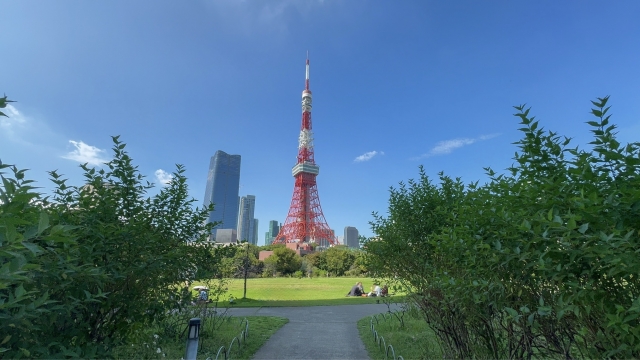 芝公園から見える東京タワーの写真